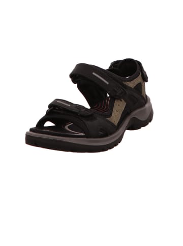 Ecco Outdoor Sandalen für Herren in schwarz
