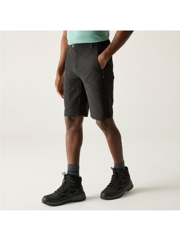 Regatta Wandershorts Highton II in grau