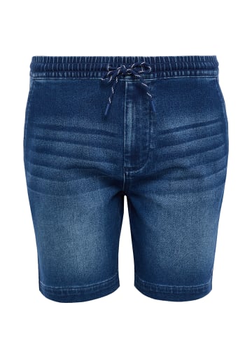 Threadbare Jeansshorts THBPlaza in Hellgrau