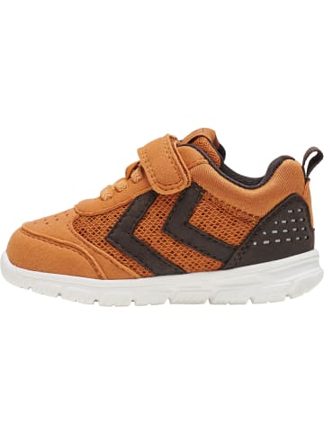 Hummel Klettverschluss Sneaker Crosslite Winter Lebensstil Kinder in CHOCOLATE CHIP