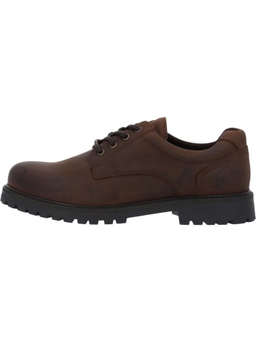 palado Klassische Halbschuhe in dk brown