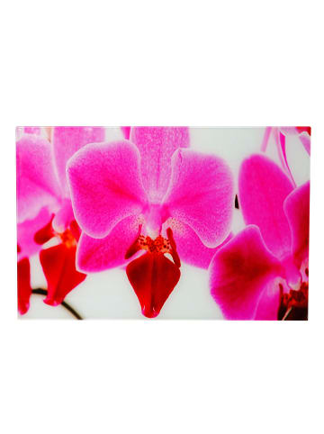 MCW Glasbild T117, Orchidee