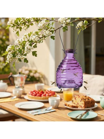 MARELIDA Wespenfänger HONIGTOPF Wespenfalle geriffeltes Glas D: 13cm in lila