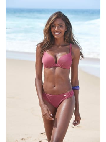 Sunseeker Push-Up-Bikini-Top in rostrot