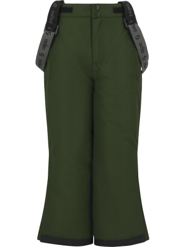 Zigzag Skihose Soho in 3074 Kombu Green