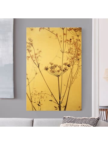 WALLART Leinwandbild Gold - Trockenblume im Lichtspiel in Braun