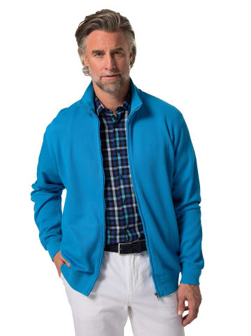 Boston Park Sweatjacke in hellblau