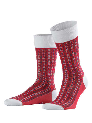 Falke Match Fruit Socke in White