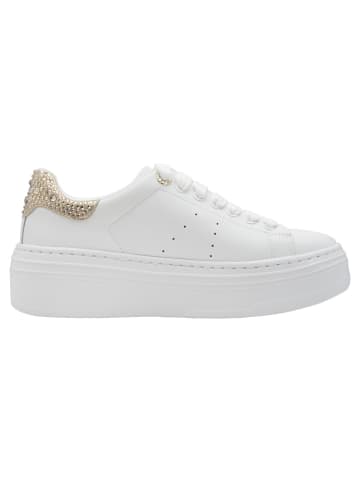 Tamaris Sneaker in WHT/CHAMPAGNE