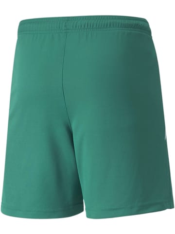 Puma Sporthose "TeamLIGA Shorts Jr" in Grün