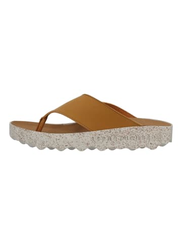 ASPORTUGUESAS Pantoletten in Camel