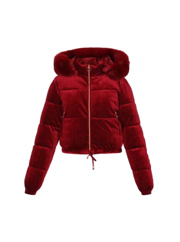 taddy Women Jacket in Burgundy