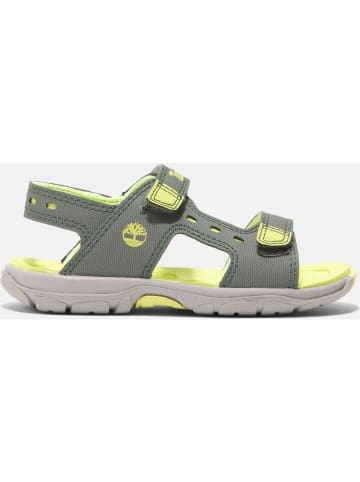 Timberland Sandale "Moss Jump" in Grün