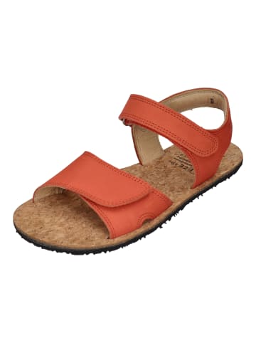 KOEL Sandalen ASHLEY NAPA  in orange