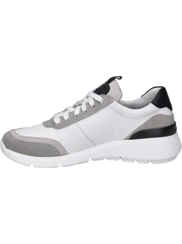 Josef Seibel Sneaker Giulietta 01 in weiss-grau