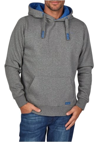 DENIMFY Pullover DFBenno in Grau