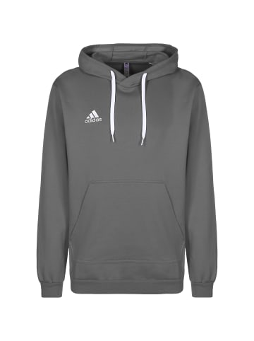 adidas Performance Trainingskapuzenpullover Entrada 22 in grau