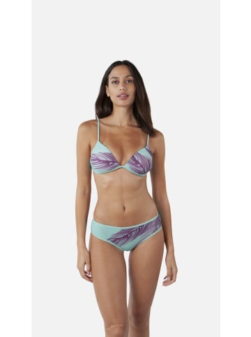 Barts Tasman Hipster Bikinihose in dark celadon