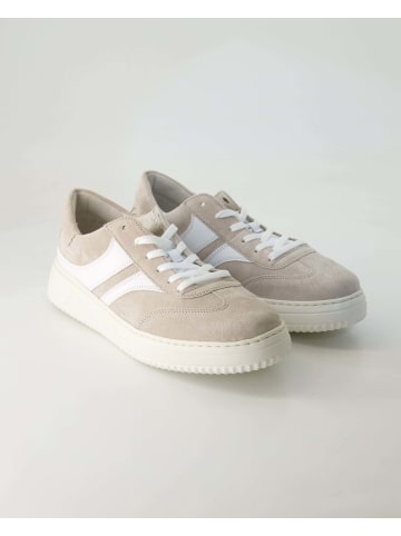 Gabor Comfort Sneaker low in Beige