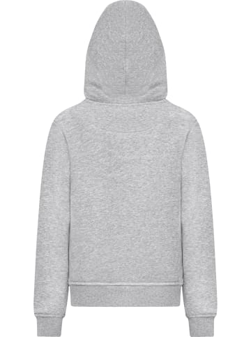 Absolute Cult Absolute Cult Kapuzenpullover in heather grey