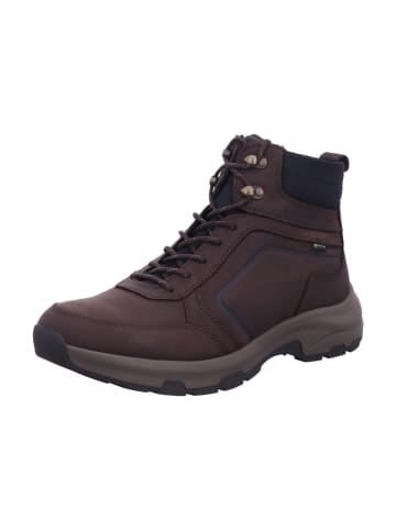 Pius Gabor Boots in braun