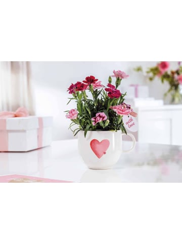Villeroy & Boch 6er Set Henkelbecher Sending Love With Love 290 ml weiß-rot in weiß-rot