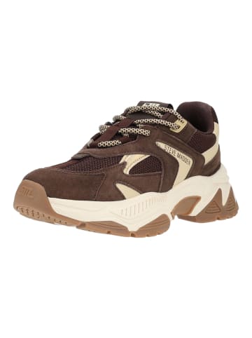 Steve Madden Sneaker AMPLE in Braun