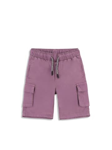 Coccodrillo Kurze Hose  in violett