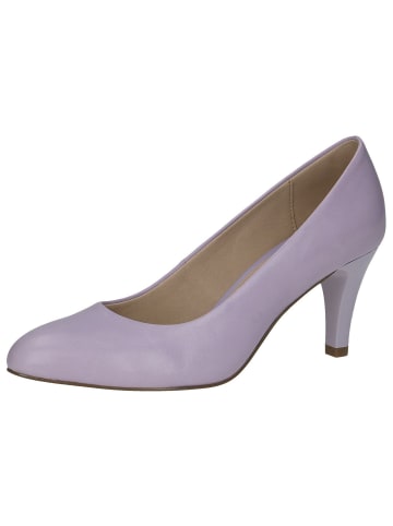 Caprice Pumps in LAVENDER NAPPA