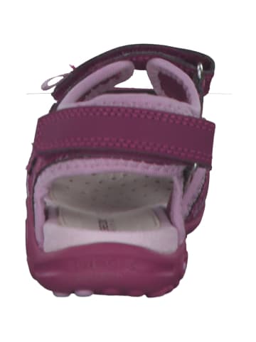 Geox Sandalen in DK RASPBERRY/PINK