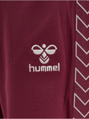 Hummel Hummel Hose Hmltrick Unisex Kinder in RHODODENDRON