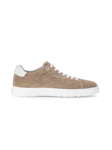 Pius Gabor Sneaker low in braun