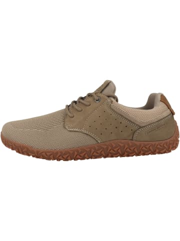 Camel Active Sneaker low 54ILA18 in hellbraun