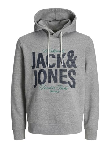 Bestelle Kapuzenpullover für Herren in grau