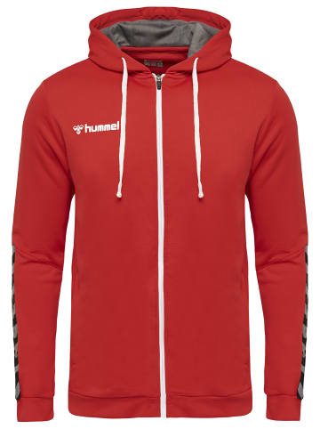 Hummel Hummel Kapuzenpullover Hmlauthentic Multisport Herren in TRUE RED