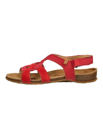 El Naturalista Sandalen in Rot