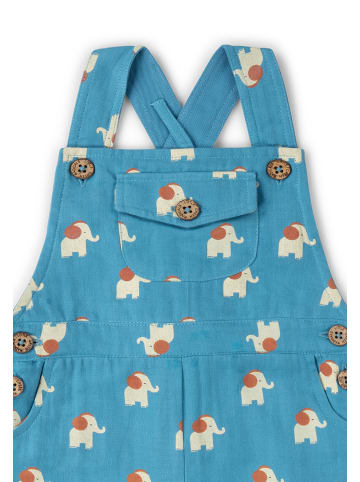 Little Green Radicals Bio-Latzhose in Blau