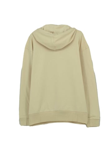 adidas Pullover Fv Hooded Sweat in Braun