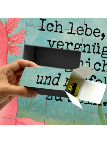 Mr. & Mrs. Panda Befüllbarer Adventskalender Axolotl Niedlich De... in Weiß
