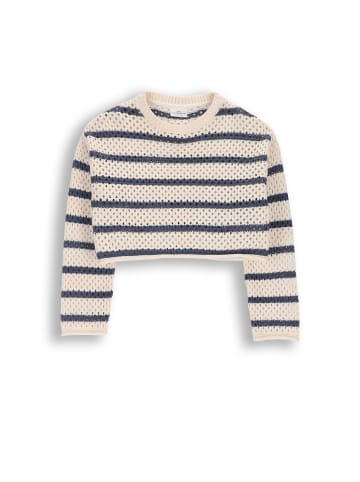 Coccodrillo Lochmusterpullover in dunkelblau