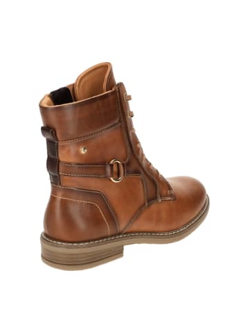 Pikolinos Schnürstiefeletten in Braun