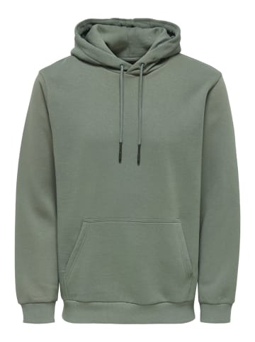 Only&Sons Sweatshirt 'Ceres' in grün