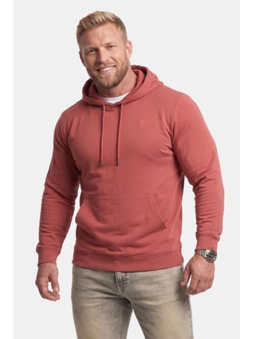 Men Plus Sweatshirt in terra