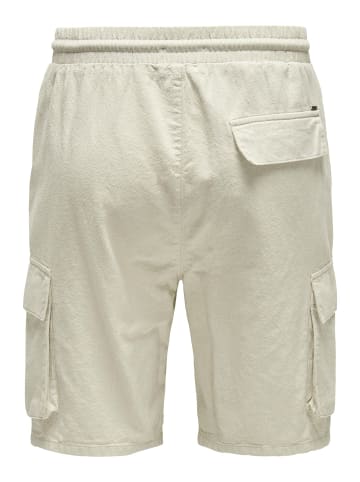 ONLY & SONS Cargo Shorts in Silver Lining