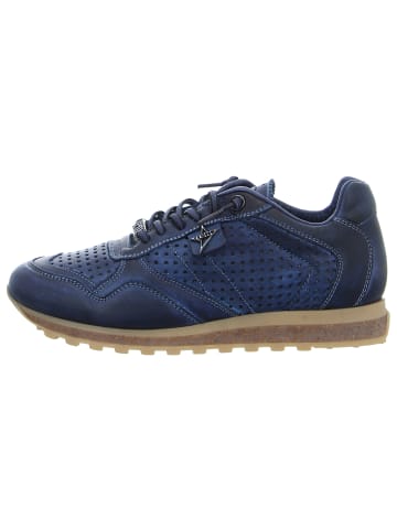 Cetti Sneaker Low in blau