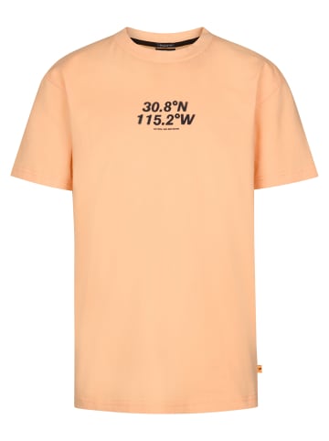 Petrol Industries Bedrucktes Jersey-T-Shirt Roca in Orange
