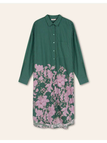 Oilily Kleid Dahl in Grün