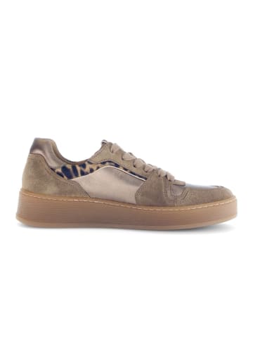 Gabor Comfort Sneaker low in braun