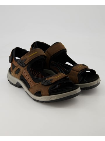 Ecco Sandalen in Braun
