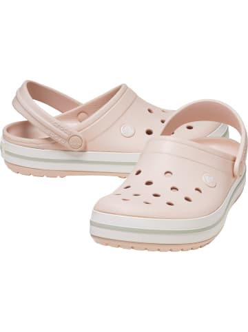 Crocs Clogs Crocband in rosa in rosa